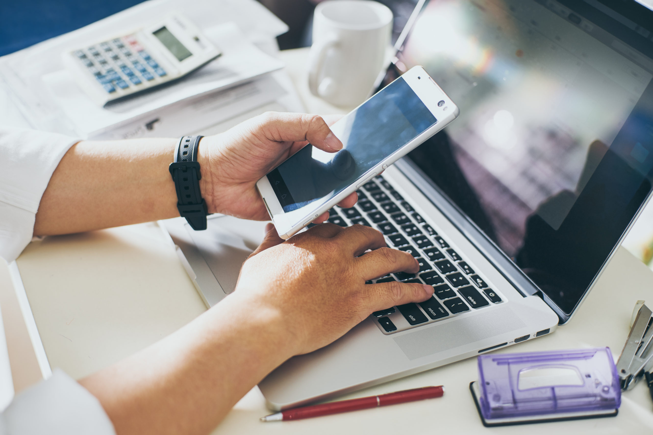 wordpress experts for hire