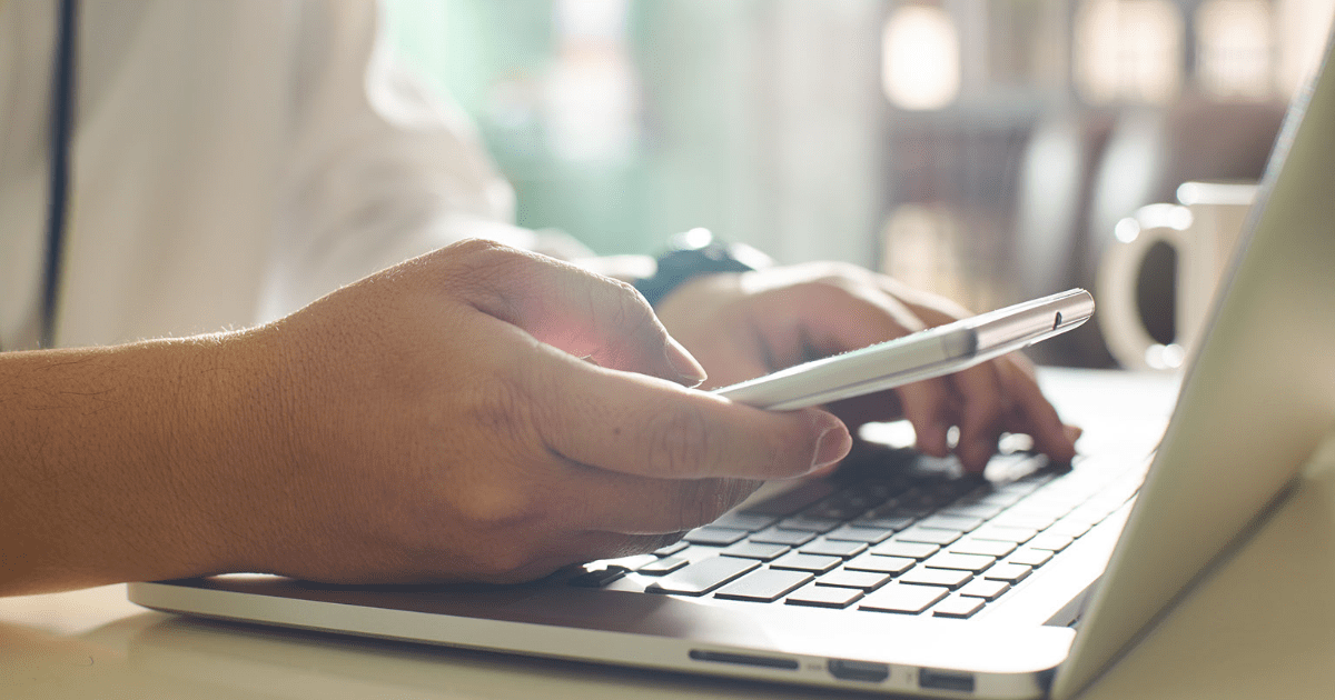 wordpress-developer wordpress developer